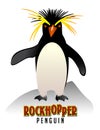 Rockhopper Penguin illustration