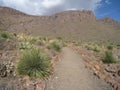 Rockhound State Park