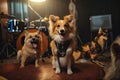 rocking dog with guitar and bandmates in the background, ready to rock out Royalty Free Stock Photo