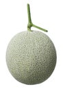 Rockmelon Royalty Free Stock Photo