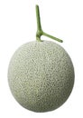 Rockmelon