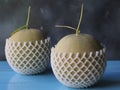 Rockmelon fruit in net foam.