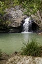 Rockpool at Kondalilla Falls, Sunshine Coast hinterland, Austral Royalty Free Stock Photo