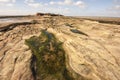 Rockpool on way to Hilbre Island, West Kirby, Wirral, England Royalty Free Stock Photo