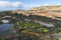 Rockpools and seaweed at Middle Hilbre Island, Wirral