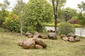 Group rocks ,alley and plants arranged in park background Royalty Free Stock Photo