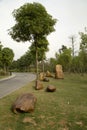 Rocks ,alley and plants arranged in park background Royalty Free Stock Photo