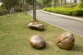 Three rocks ,alley and plants arranged in spring park background Royalty Free Stock Photo