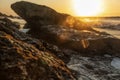 Rocks along the coast with bivalves and marine life. Namibe. Africa. Angola Royalty Free Stock Photo