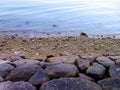 Rocks on the beach of Cadiz capital, Andalusia. Spain Royalty Free Stock Photo