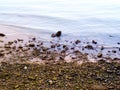 Rocks on the beach of Cadiz capital, Andalusia. Spain Royalty Free Stock Photo