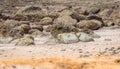 Rocks on a beach exposed during low tide