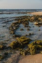 Rocks on the beach