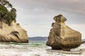 Rocks on the beach near Cathedral cove on the Coromandel Peninsula. New Zealand. Royalty Free Stock Photo