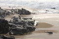 Rocks at the beach near Kingsburgh, KZN South Coast, near Durban, South Africa