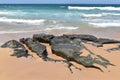 Rocks on the beach,pacific Ocean, Australia