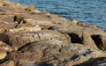 Rocks on the blue Adriatic sea
