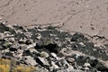 Rocks at the bottam of the Sea wall at gold cliff withte tide comeing in