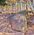 Rocks and boulders in an uncultivated, rough hiking terrain on Table Mountain, Cape Town, South Africa. Tall tress and Royalty Free Stock Photo