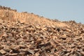 Rocks in Carpenteria, Negev desert Royalty Free Stock Photo