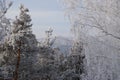 Winter in the Urals