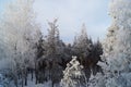 Winter in the Urals