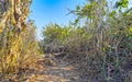 Rocks cliffs overgrown with nature plants trees bushes flowers cacti Royalty Free Stock Photo