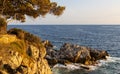 Rocky shoreline sunset landscape of Cap Ferrat cape hosting Saint-Jean-Cap-Ferrat resort town near Nice in France Royalty Free Stock Photo