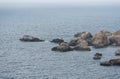 The rocks at the coastal line of Manikata and the Mediterranean sea