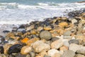 Rocks in Costao do Santinho beach Royalty Free Stock Photo