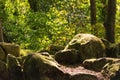 Rocks covered in moss shining in the sun