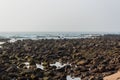 Rocks covered with algae/moss near the ocean