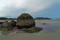 Crustaceans On The Rocks Royalty Free Stock Photo