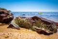 Rocks covered in marine vegetation in shallow water.