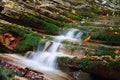 Rocks covered with moss with flowing streams of the mountain creek