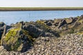 Rocks covered in seaweed with view on the ocean, the beach of Tholen, Bergse diepsluis, Oesterdam, Zeeland, The Netherlands