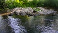 Rocks Creek water Riceville Tennessee