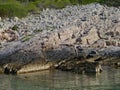 The rocks of the Croatian island Zirje