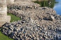 Rocks on Danube riverbed at drought