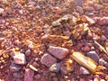 Rocks desert colors shapes nature Royalty Free Stock Photo