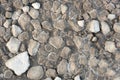 Rocks in dried clay