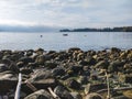 Rocks and driftwood scattered across False Bay, refilling after low tide on a sunny day Royalty Free Stock Photo