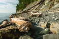 Rocks and dry tree trunks on the seashore. In the background rocks with green firs, sea and cloudy sky. Seascape. Royalty Free Stock Photo