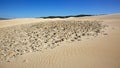 Rocks on Dune