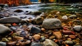 Autumn Forest River In Washington State: A Photo-realistic Landscape