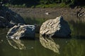 Rocks fallen into water of Uvac river at sunny summer morning