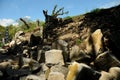 Rocks Fell Down due to the Earthquake at the Kumamoto Castle is located in Kumamoto Prefecture, Japan. At this time, this castle w Royalty Free Stock Photo