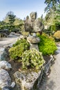 Seatac Rocks And Flowers