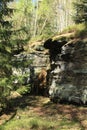 Rocks in forest in Czech Switzerland Royalty Free Stock Photo