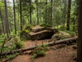 Rocks and forest of Karkonosze National Park. Royalty Free Stock Photo